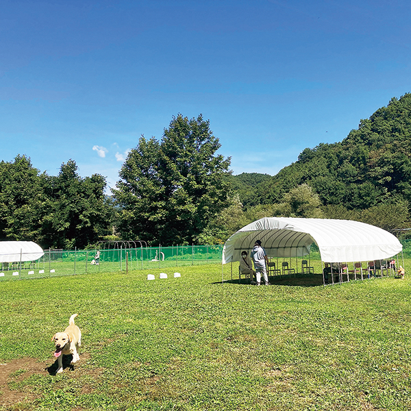 道の駅 雫石あねっこ・小柳沢砂防公園キャンプ場「虹色パーク」