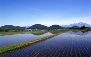 田園と七ツ森 田園と七ツ森