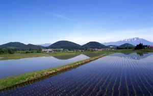 田園と七ツ森