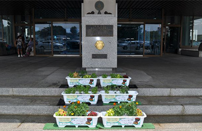 花いっぱい運動　雫石町役場正面玄関