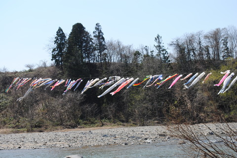 平成26年度鯉のぼり掲揚式89.JPG