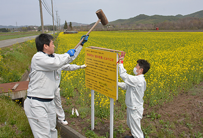 20160427nanohana1.jpg