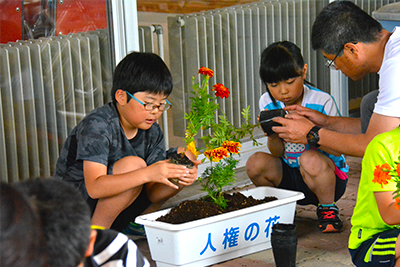 人権の花大村小2.jpg