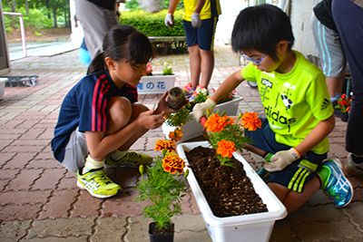 人権の花大村小3.jpg