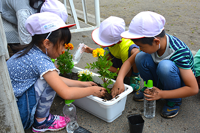 人権の花雫石小1.jpg