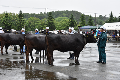20160623kyousinnkai2.jpg