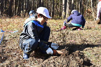 20161118nanatumori3.jpg