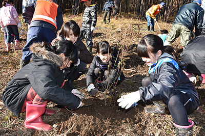 20161118nanatumori4.jpg