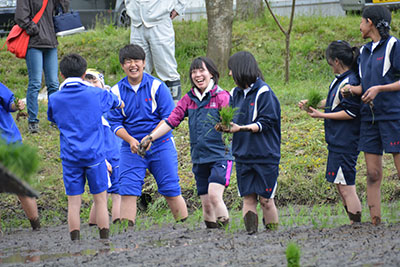 keimei5.jpg keimei5.jpg