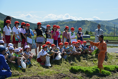 20170518ginga01.jpg
