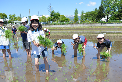 20170518ginga05.jpg