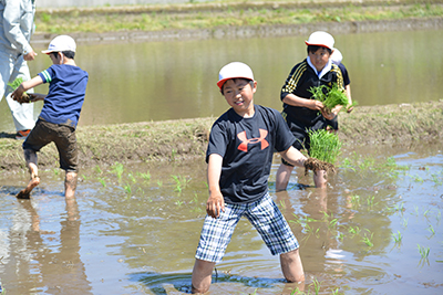 20170518ginga06.jpg