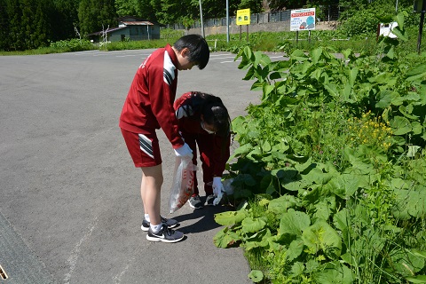 令和元年5.30.国道清掃2