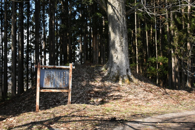 高前田一里塚（北側）.JPG