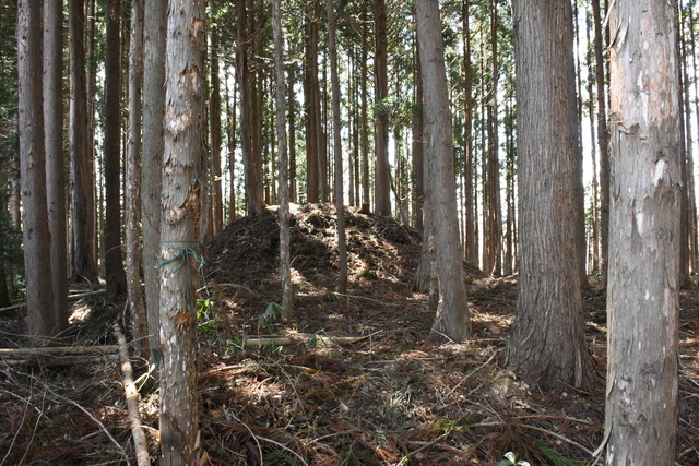 高前田一里塚（南側）.JPG