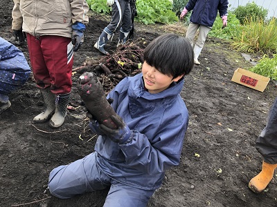 サツマイモを収穫①.JPG