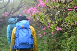 横長根への登り