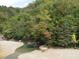 中流域