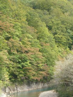 葛根田1002-2 中流域