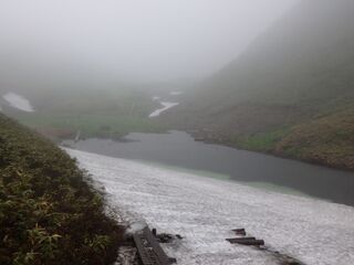 駒池0626-1