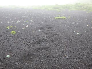 大焼砂0626-2