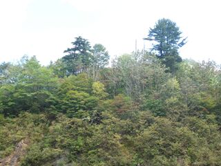 滝ノ上