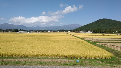 8_400px_IMG_20171001_113007.jpg