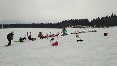 4_IMG_20180210_151136_400.jpg