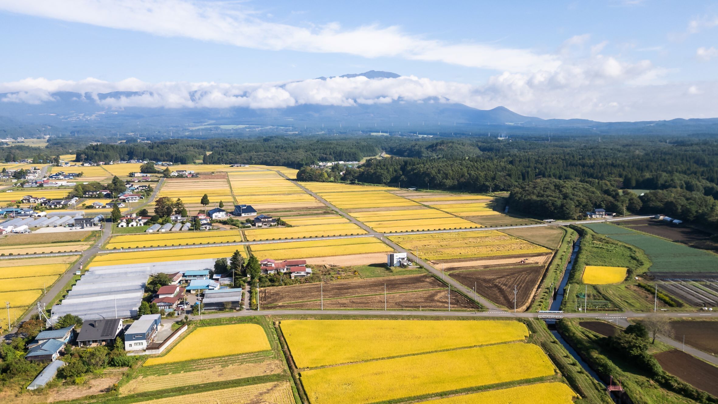 秋の田んぼと岩手山