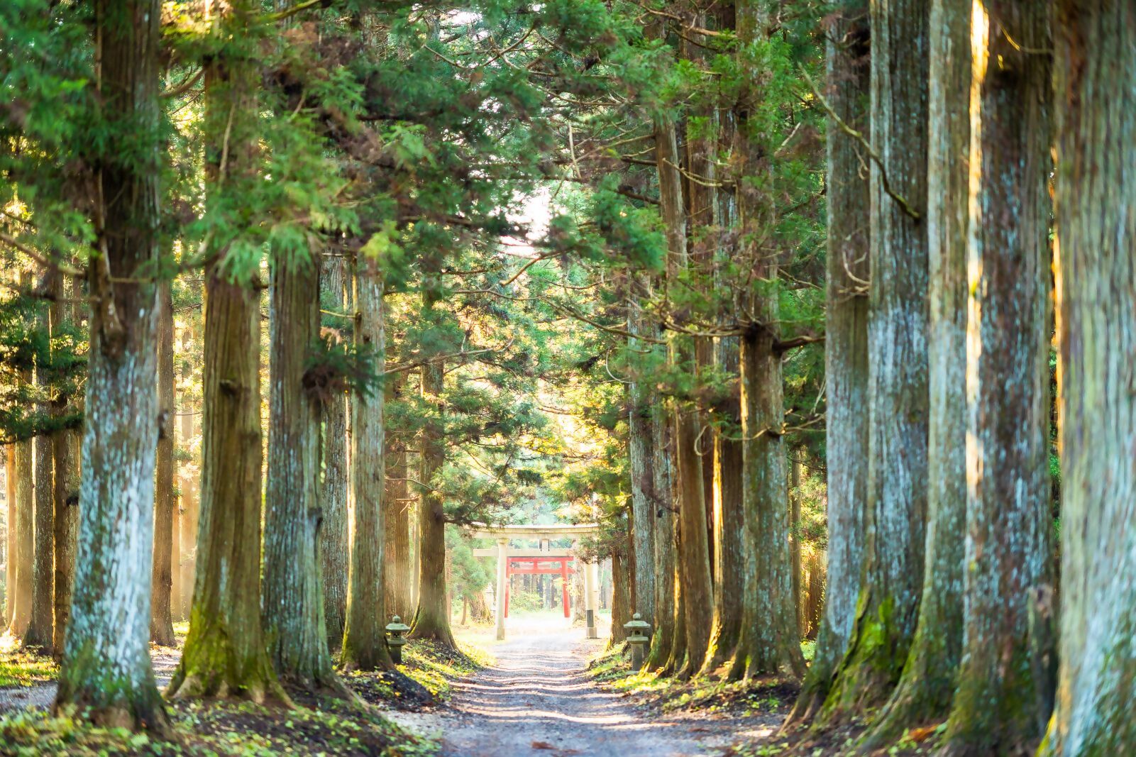 岩手山神社